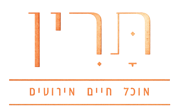 לוגו
